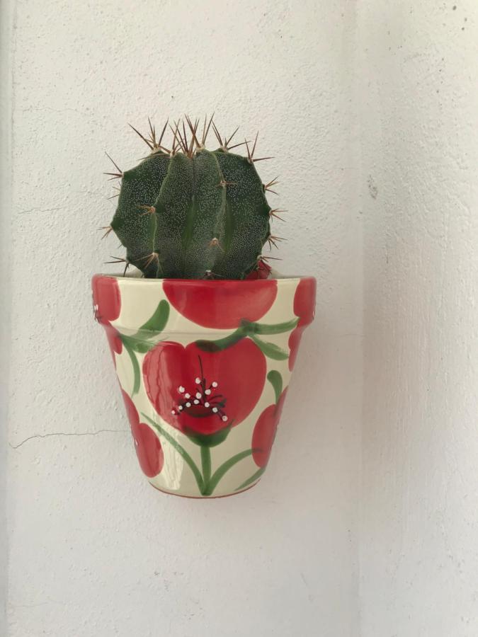 Appartement Elsa ולנסיה מראה חיצוני תמונה